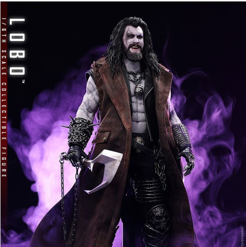 DC Supergirl Lobo 1/6 Scale Collectible Figure (Pre-Order ships July 2027)、ToyWiz、kayou