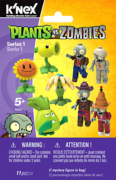 Nokko plants Old Sekka Dwarf Hinoki Cypress in an Unglazed Ceramic Pot