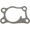 Brp Gasket - Brp (325040)