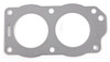 Brp Heavy Duty Gasket, 9.9&15 (330818)