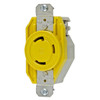 Hubbell HBL26CM10 30A Receptacle HBL26CM10