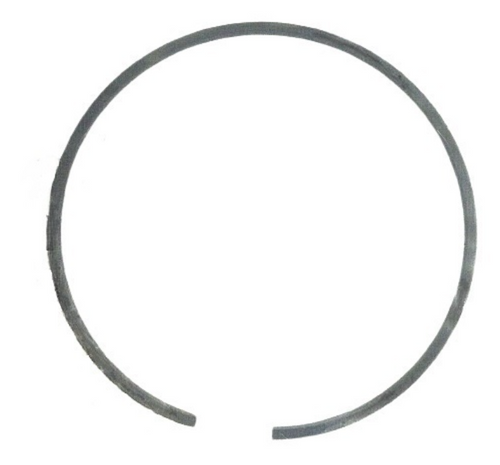 Brp Crank Seal Ring (326749)
