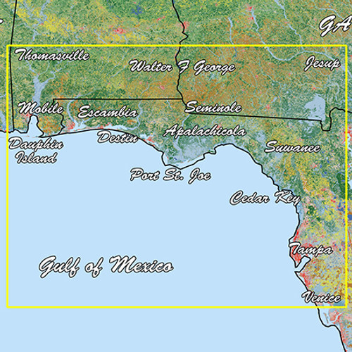 Garmin Emerald Coast Standard Mapping Professional 010-C1191-00