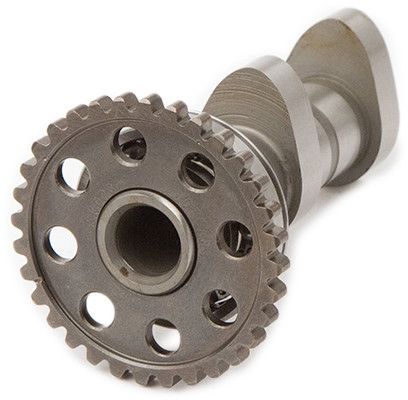 Hot Cams Racing Cam Stage 1 - 4163-1IN