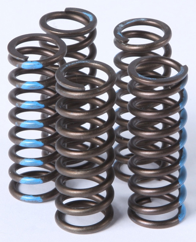 Pro Circuit Clutch Springs - CSY14250-CS