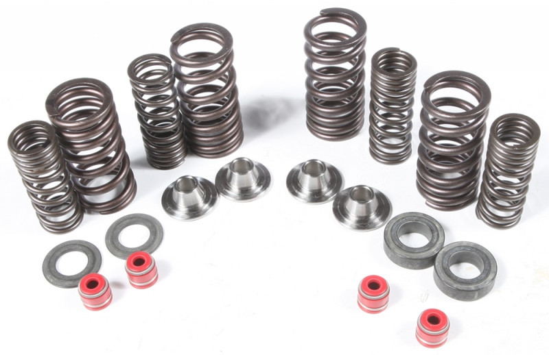 Kpmi Racing Valve Spring Kit - 30-30590