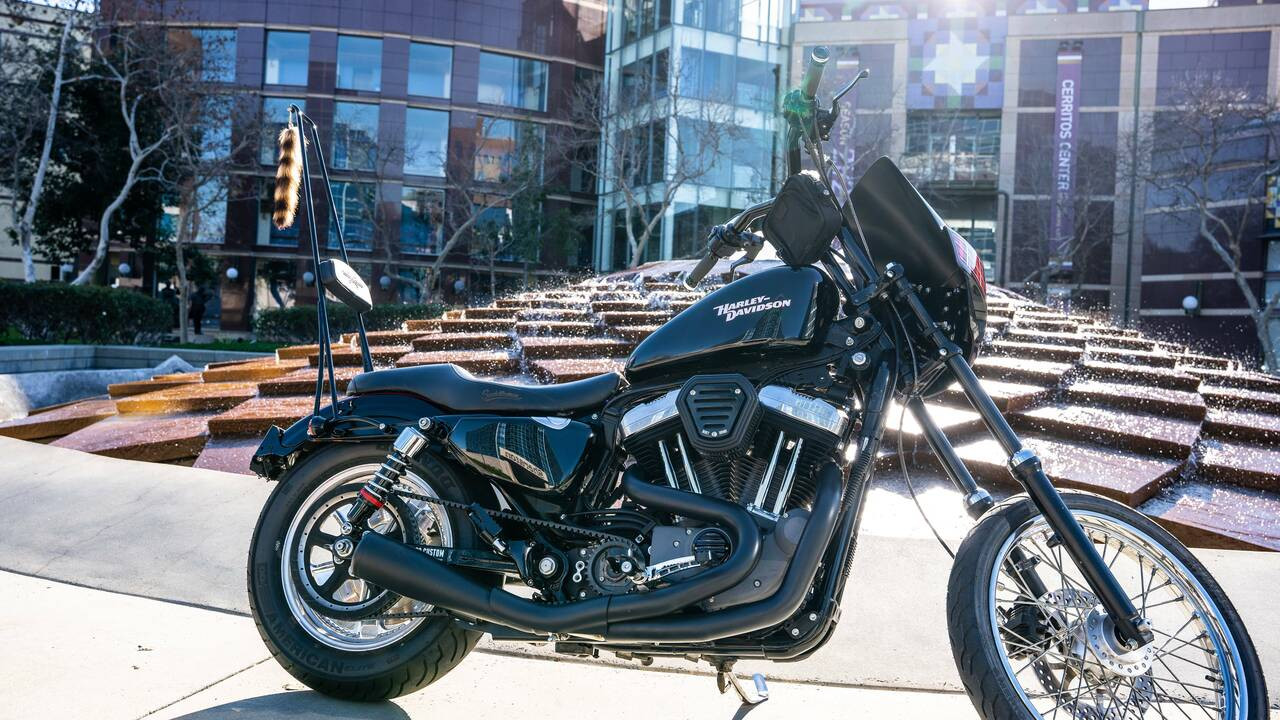 Burly Stupid Tall Sissy Bar W/Bar Black Dyna 06-17 - B13-1509B