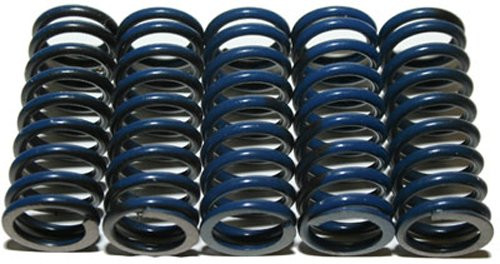Hinson High Temp Springs 6 Springs - CS330-6-0509