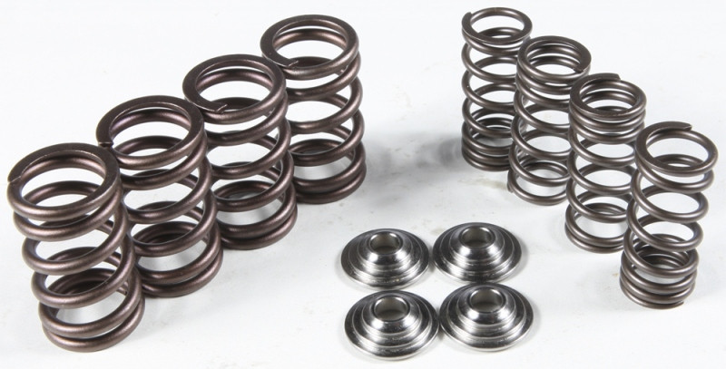 Kpmi Racing Valve Spring Kit - 30-3111
