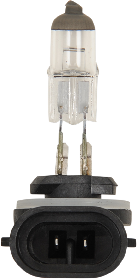 Peak Lighting Halogen Bulb 894 37W - 894-BPP