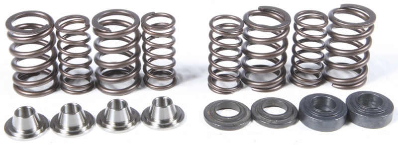 Kpmi Racing Valve Spring Kit - 80-80750