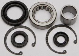 All Balls Inner Primary Bearing And Seal Kit - 25-3101