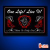 STYLE 5 SCANIA PERSONALISED OUTLINE TEXT LED LIGHT TRUCK BOARD 2 COLOUR PANEL RGB ONE LIFE LIVE IT