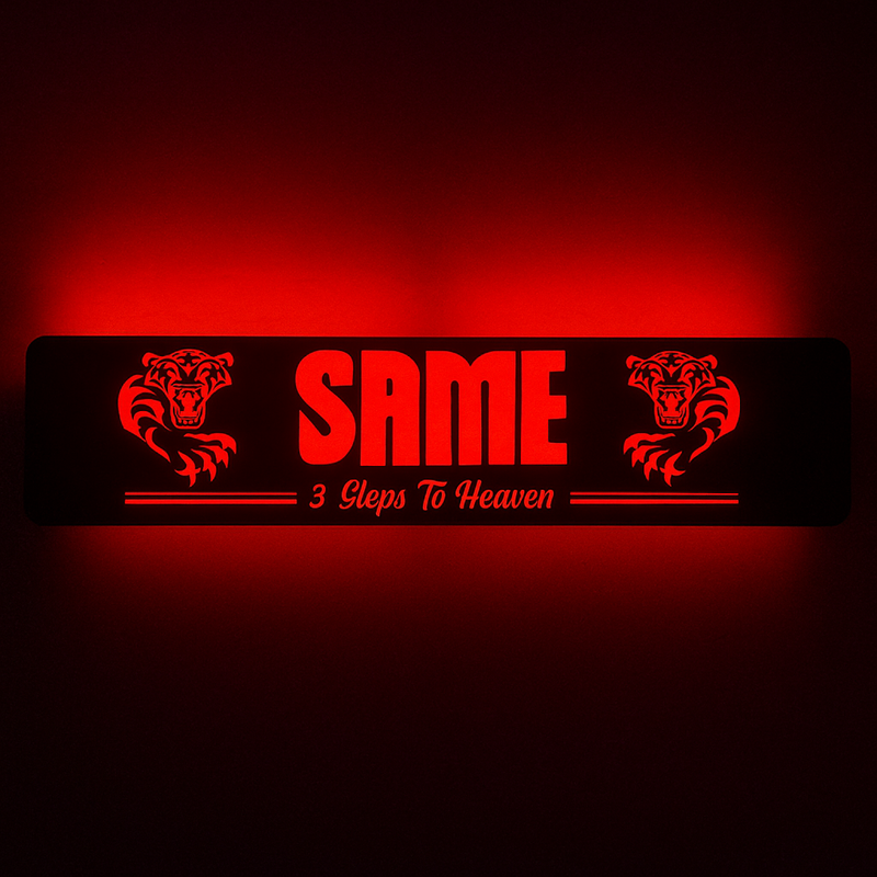 SAME LED Light Up Boards