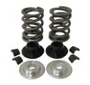 6160 Dual Valve Spring Kit for 5hp Briggs