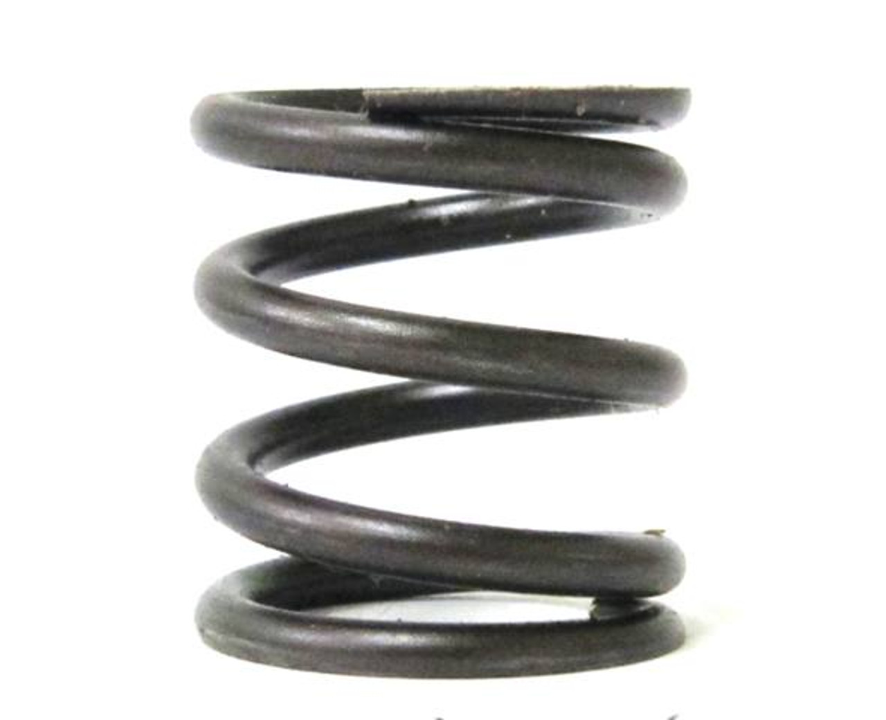 6176 Valve Spring, Restricted Stock, Animal