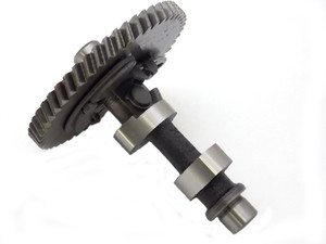 【選抜】P.'SnakeHead'#11(呼称) 親株 DJ-1114P CL-3 Dyno Predator Non Hemi Cam - ARC Racing