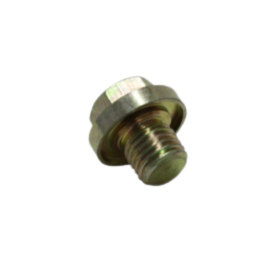 DJ-1233 Carburetor Bowl Screw