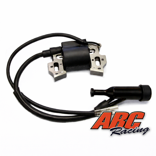 DJ-1260 Ignition Coil with Spark Plug Cap