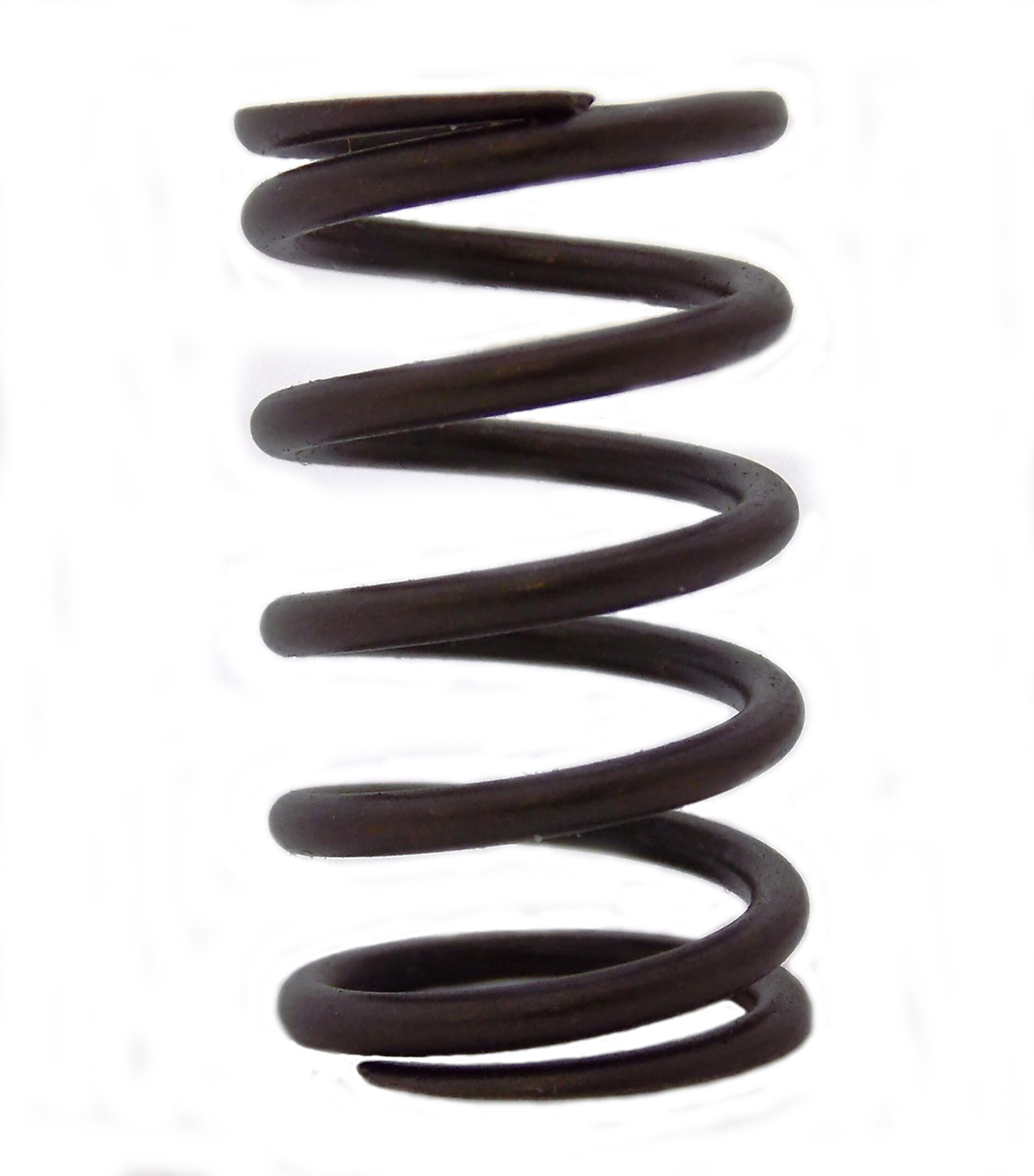 Valve Springs