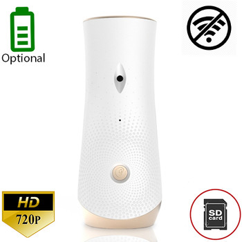 Built-In DVR Air Freshener Hidden Nanny Security Camera Built-In DVR Air Freshener Hidden Nanny Security Camera