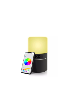 Lamp Cameras