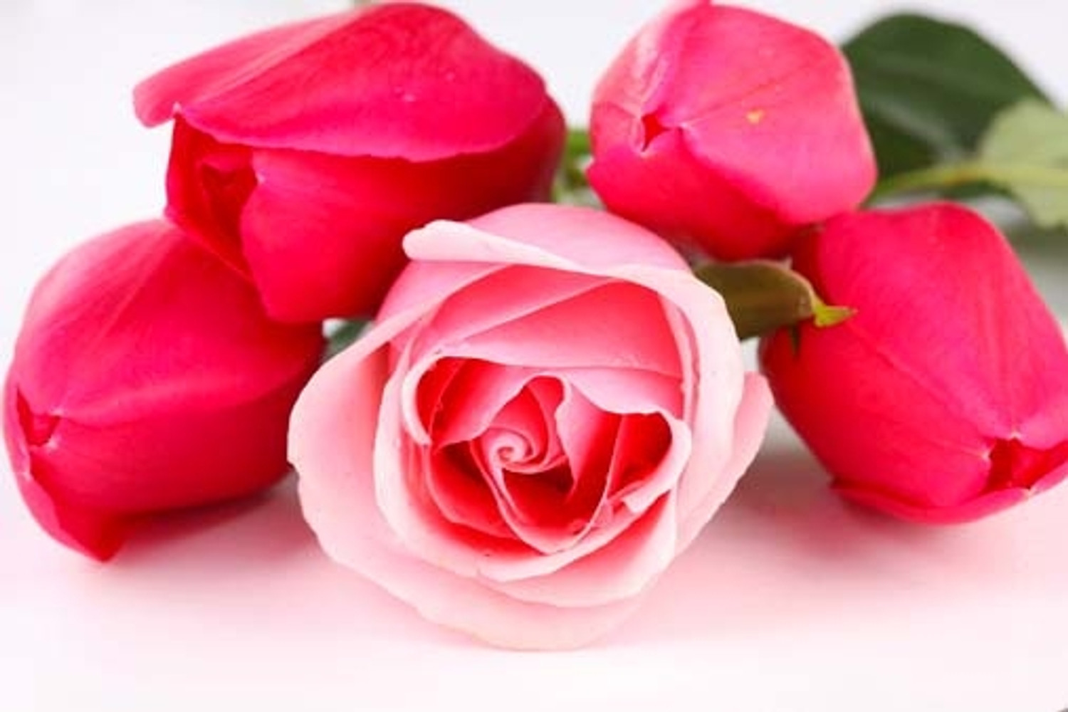 Fresh Cut Roses Fragrance Oil for Cold Air Diffusers