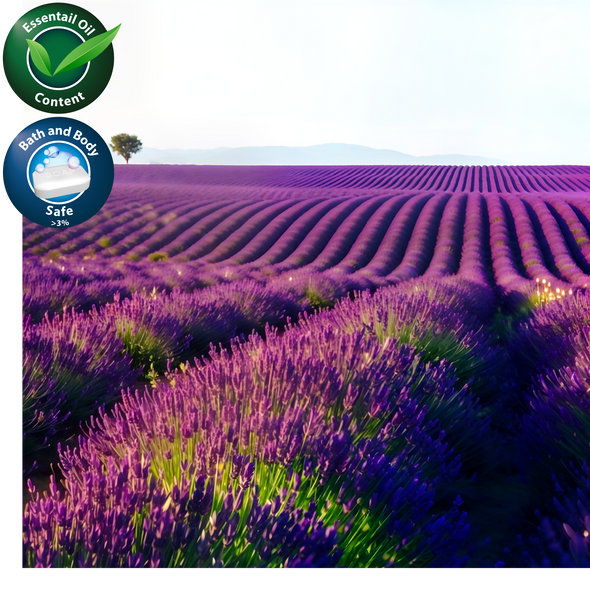 Lavender Fields Fragrance