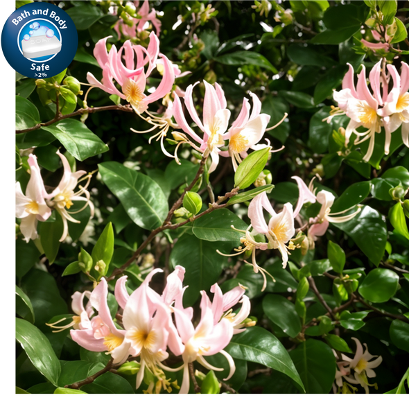 Tropical Honeysuckle Fragrance