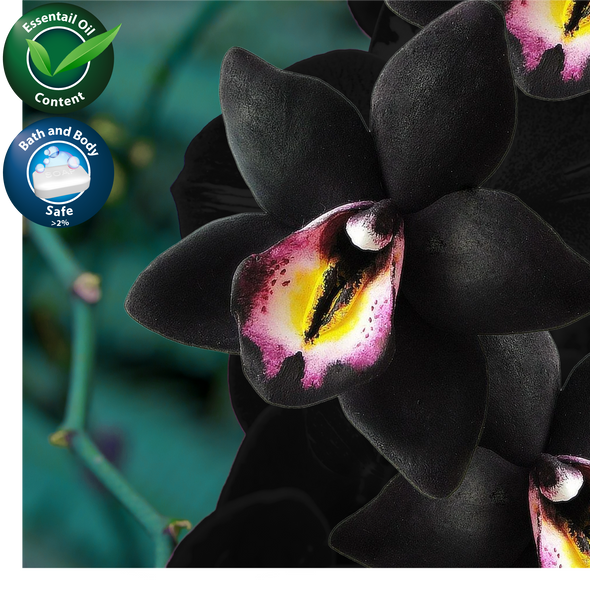 Black Orchid Fragrance