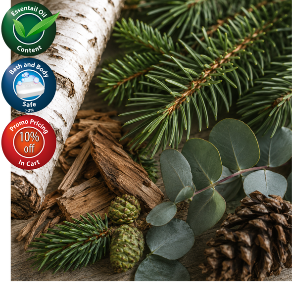 Silver Birch Fragrance