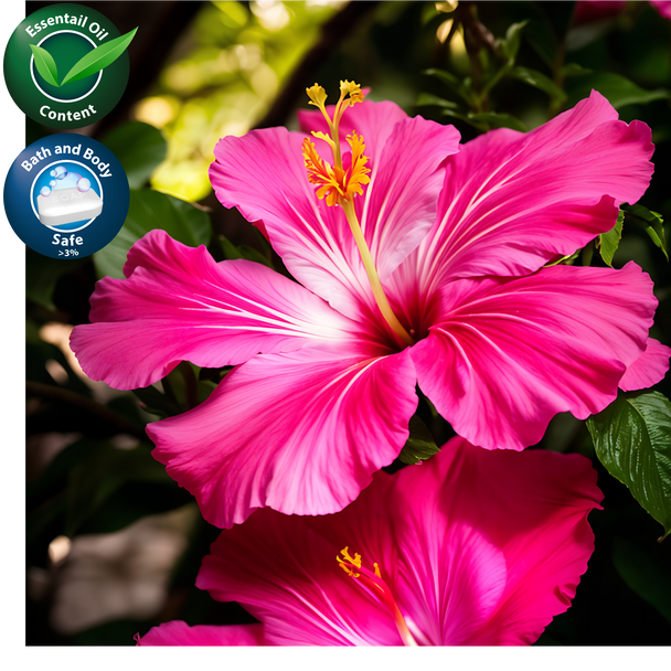 Island Hibiscus Fragrance