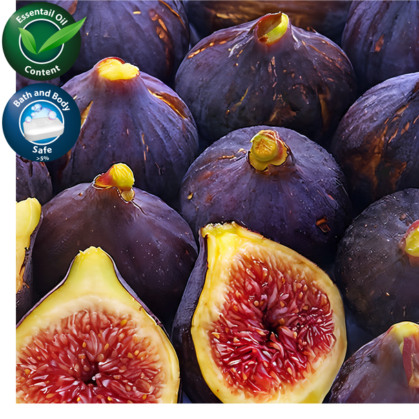 Fig Fragrance