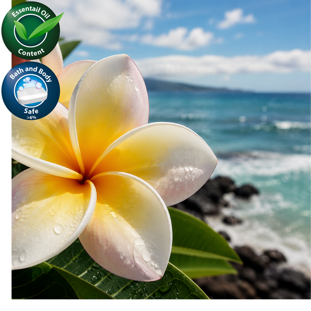 Seaside Plumeria Fragrance Oil