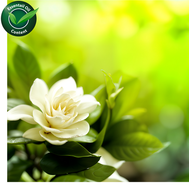 Gardenia Fragrance Oil