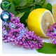 Calabrian Lemon and Lilac Fragrance