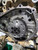 KRX  BP WET CLUTCH DELETE