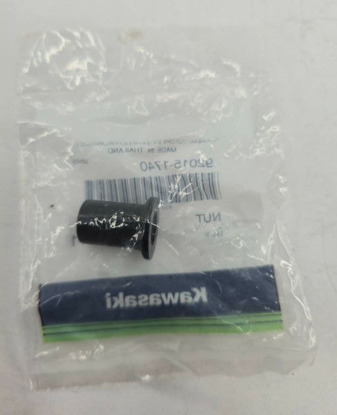 TERYX OEM BRAKE CALIPER NUT