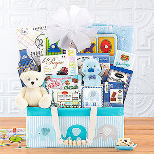 Bundle of Joy: Baby Boy Gift Basket Z954-WC-994 Bundle of Joy: Baby Boy Gift Basket Z954-WC-994