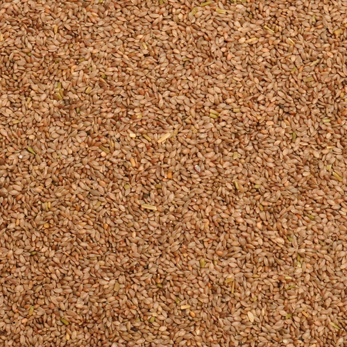 Common Bermudagrass seed