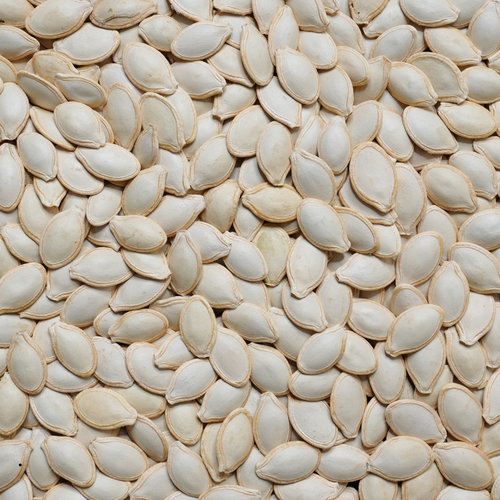 Grey Zucchini Seed