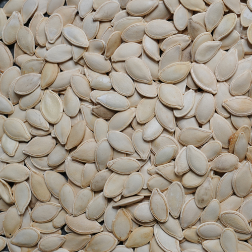 Small Sugar Pumpkin Seed