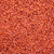Cadan 99B sorghum-sudangrass seed for grazing, hay, silage, and livestock forage