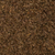 Plains Coreopsis Seed