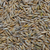 Okay Oat Seed