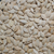 Small Sugar Pumpkin Seed