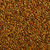 Wondergreen SX 66 Sorghum-Sudangrass Seed