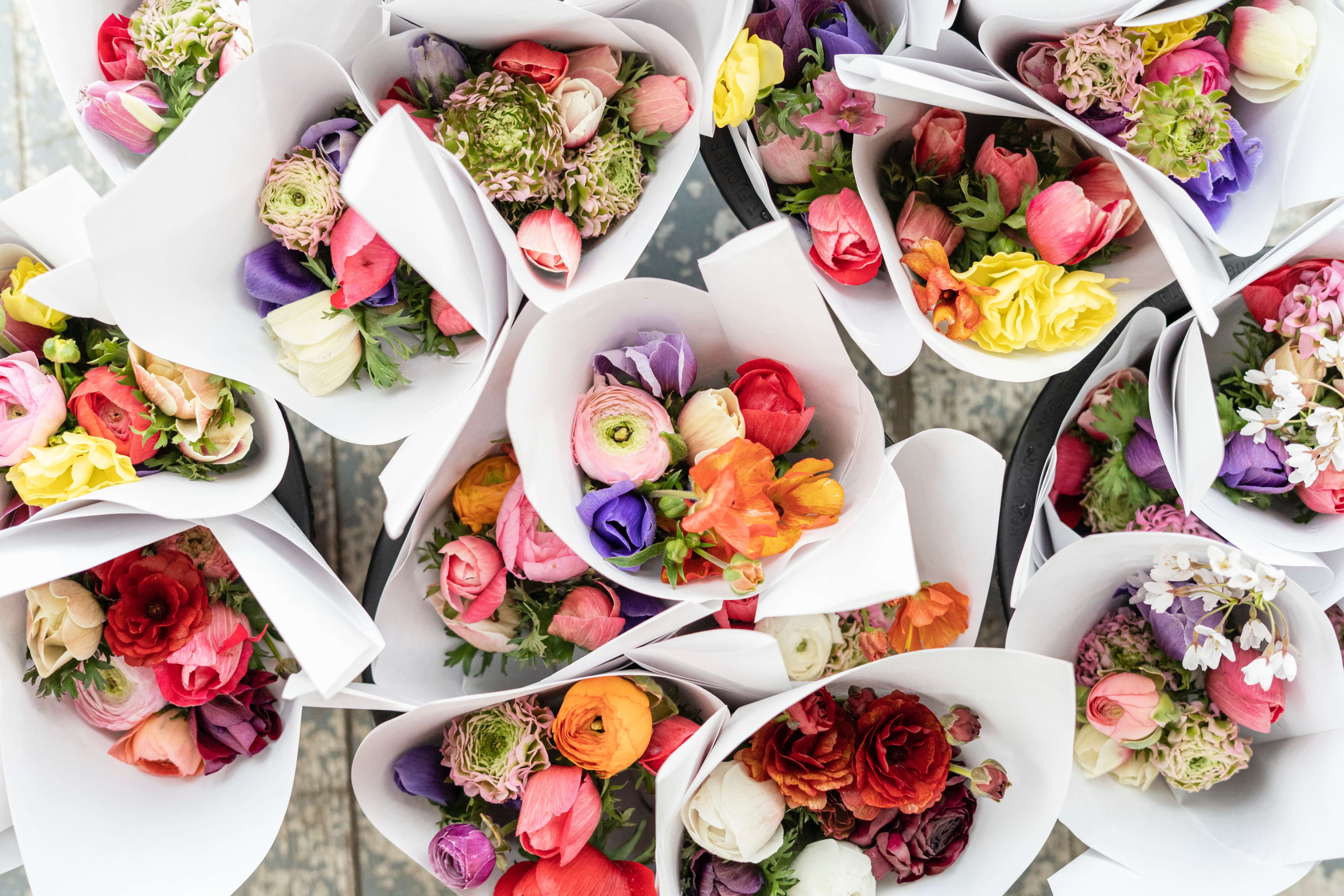 Collection of cut flowers