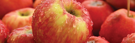 Honeycrisp apples