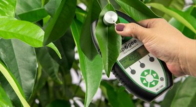 Chlorophyll Meter Applications